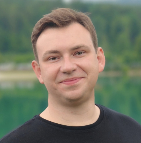 Czajka_n